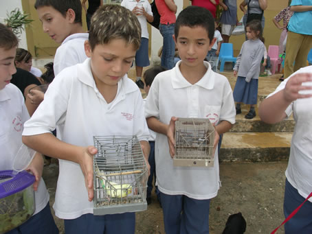 E5 Larger cages at home await the birds