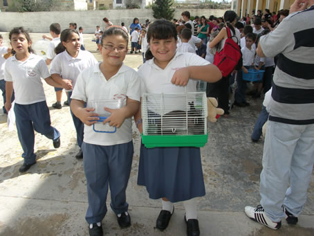 F4 Proudly showing off their pets