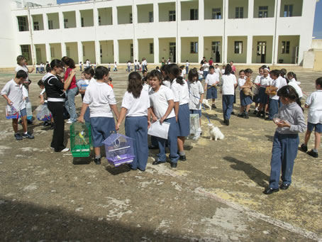 E9 Parading in the schoolyard