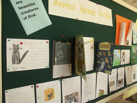 A7 Posters for Animal Awareness Day