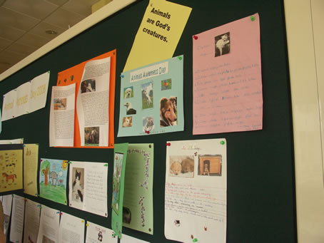 A9 Posters for Animal Awareness Day