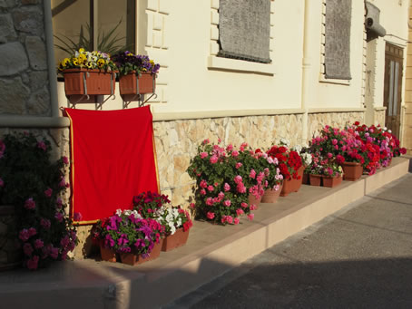 E1 Flowers line the pavement