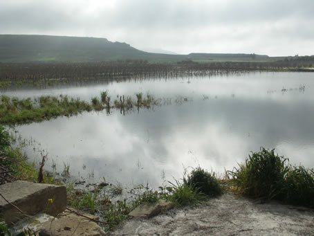 E7 water still floods fields