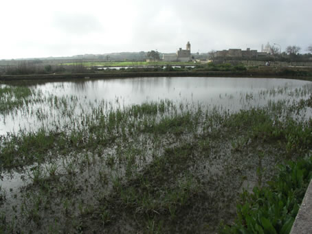 E5 water still floods fields