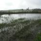 E5 water still floods fields