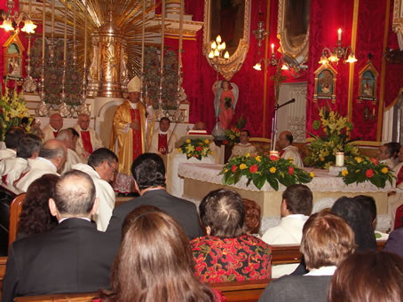 D3 Bishop delivering the homily