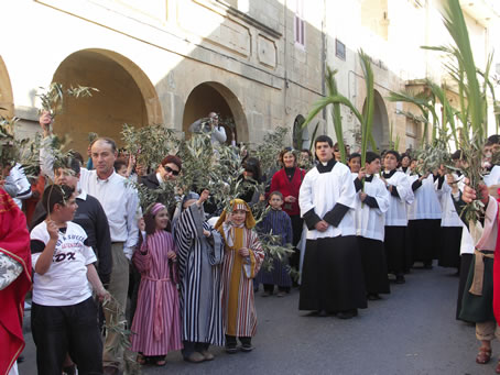 C7 waving palm and olive branches