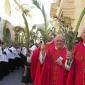 C8 waving palm and olive branches