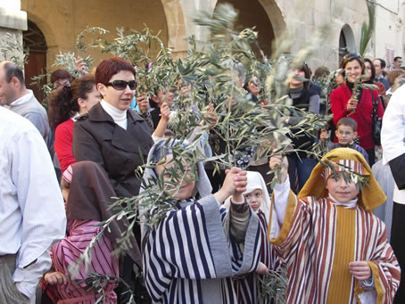 D1 waving palm and olive branches