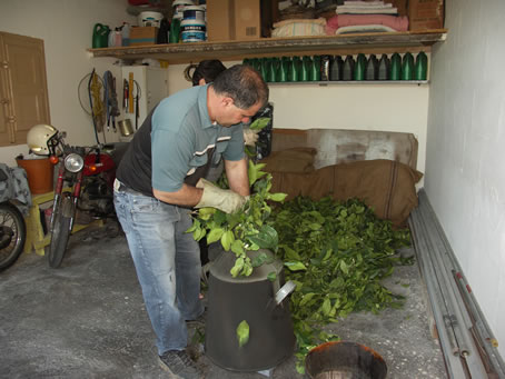 042 Stacking the pot with blossom and leaves