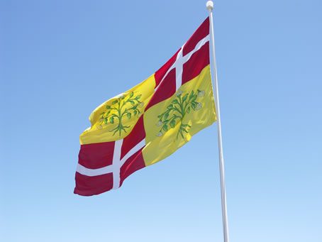 005 Flags decorate entrance to Xaghra