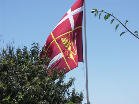 006 Flags decorate entrance to Xaghra