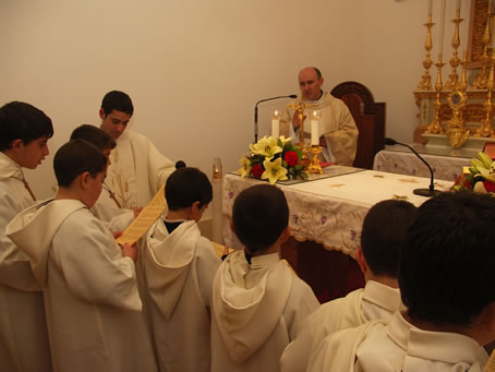 C2 Altar boys renewing their vows