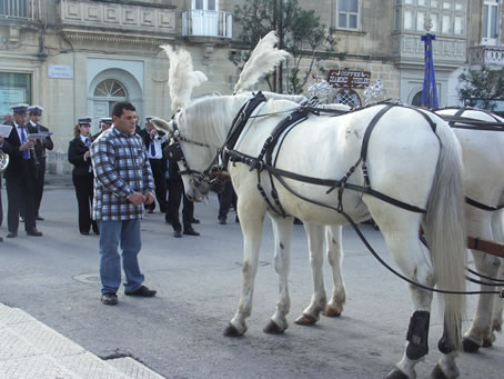 F6 Mr Muscat giving horses orders