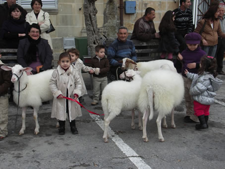 A2 Children with spotlessly clean sheep