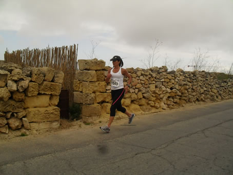 L8 Road Qala to Nadur