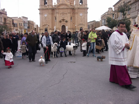 18 Following the procession with pets