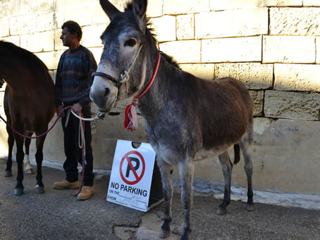 005 No Parking except donkeys