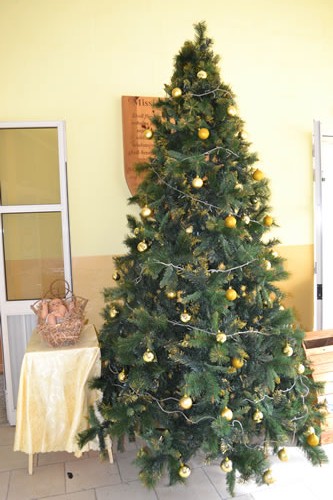 002 Baby Jesus next to Christmas Tree in School foyer