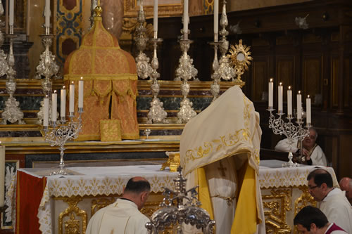 DSC_0228 benediction with the Blessed Sacrament