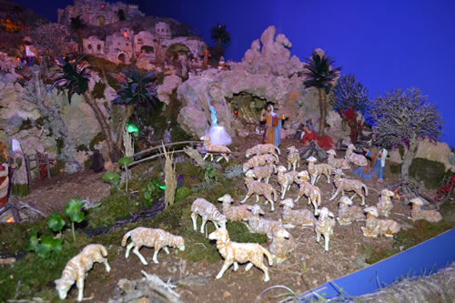 DSC_0022 Large Crib by Charlon Said