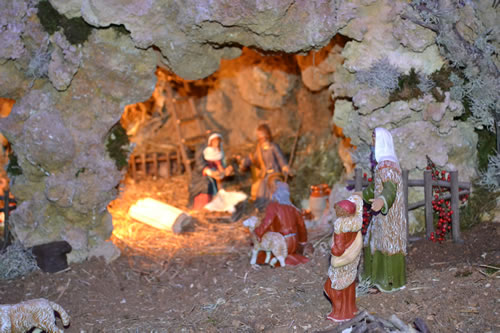 DSC_0023 Large Crib by Charlon Said