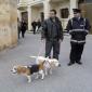 20 JAN 2012 - BLESSING OF ANIMALS photos by Noel Camilleri