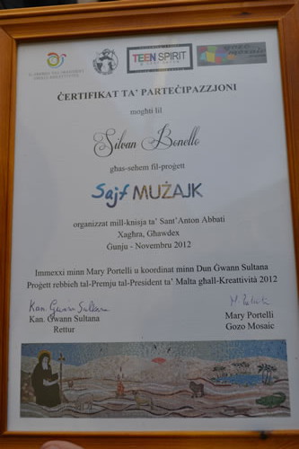 29a Certificate of participation