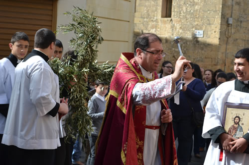 DSC_0034 Blessing palm and olive branches