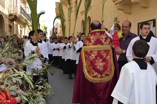 DSC_0035 Blessing palm and olive branches