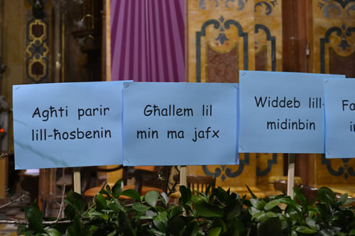 DSC_11 Quotes for the Year of Mercy