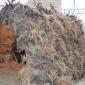 29 Crib built of hay, bamboo roots and vine branches