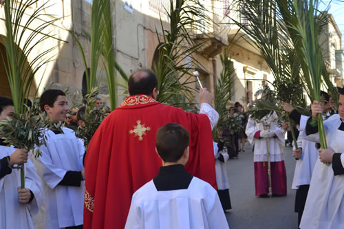 DSC_0028 Blessing olive branches and palm fronds