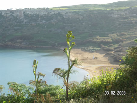 C6 Ramla Bay