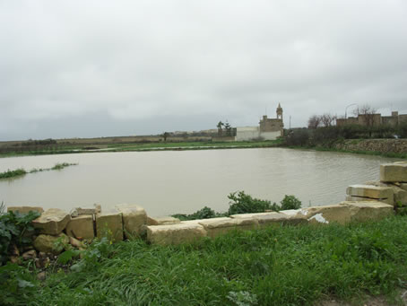 A1 Flooded field near Tal-Karmnu Church