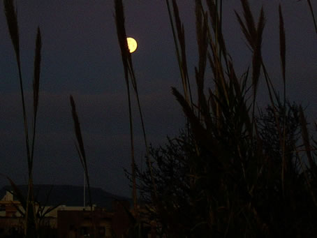 Feb 6 2004 Moon setting 7.00a.m. dark pic