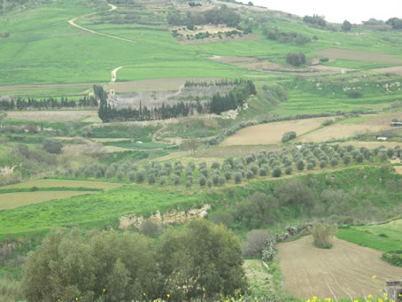 D9 Ramla Valley