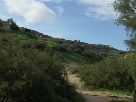 Ramla Bay in winter 07 (2)