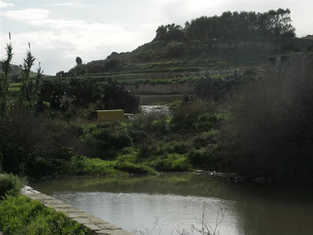 Ramla Valley (13)