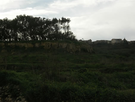 Ramla Valley (6)