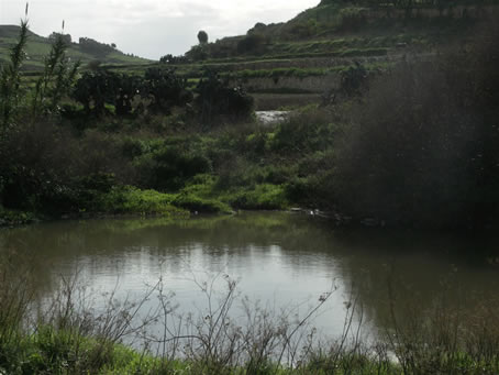 Ramla Valley (12)