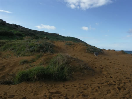 Ramla Bay in winter 07 (6)