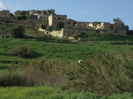 Ramla Bay in winter 07 (15)