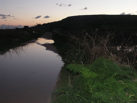 A3 Road to Nuffara Hill