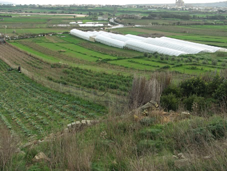 A5 Fertile fields at Tal-Qacca