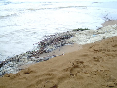 Ramla - Litter on the beach