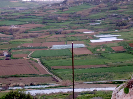 015 Silvery fields amongst greenery